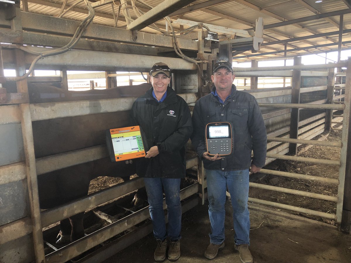 Checking in on Mel &amp; Mat at Bundarra Feedlot before a big weighing session. Love seeing what our customers are up to and helping to make their lives easier #gallagherlife