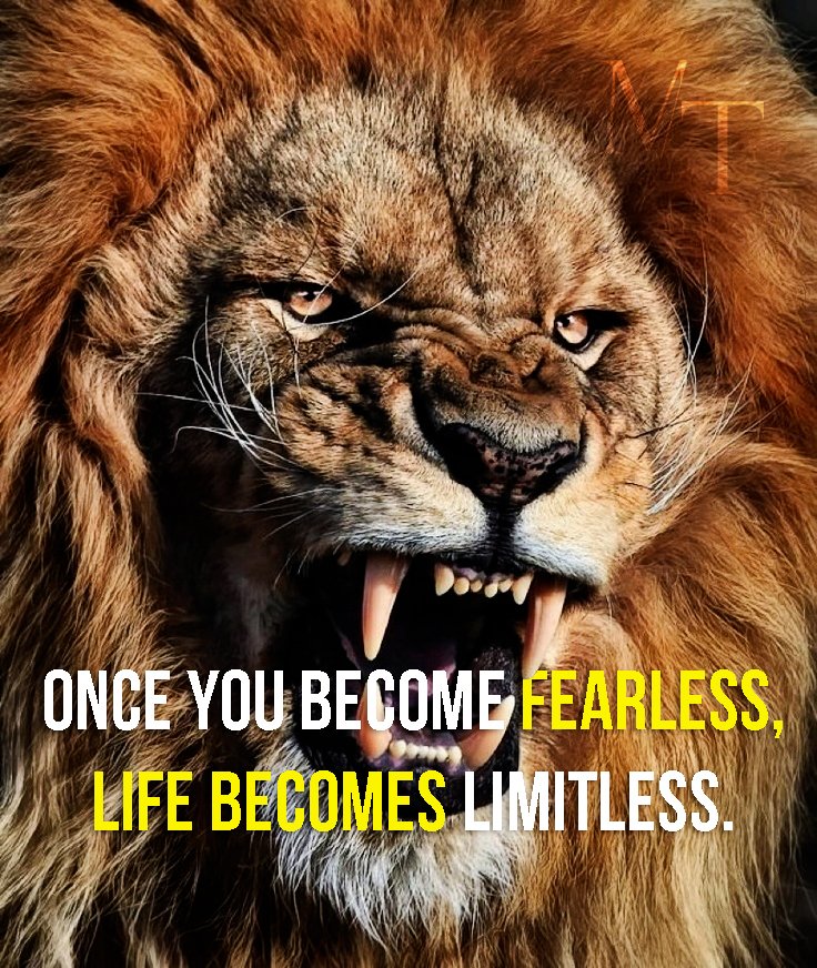 Readymarv's tweet photo. What would you do if you weren't afraid? https://t.co/qg4dO8woBg