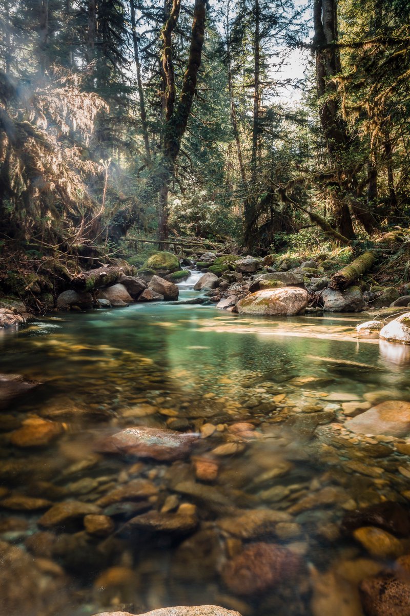 It's still early but I think this looks like a perfect place for a swim. I mean, I won't get in that frigid water but I'm sure someone would enjoy it

#pnw #CascadeRange #canon #canonphotography #NatGeo #yourtake #KOMONews #king5 #kiro7 #Q13FOX