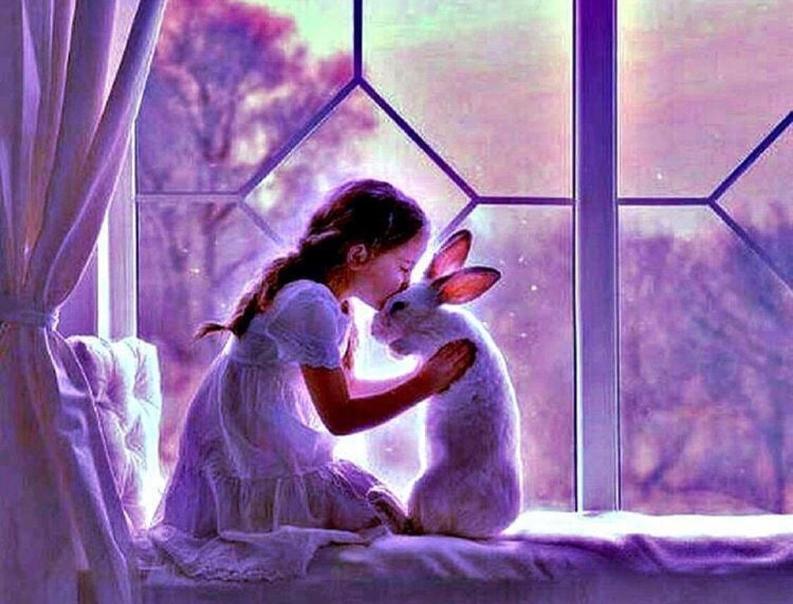 الحب هو أن يتوقف الشجار عندما يحتل الحزن عين الآخر..💜💜
إنها الرأفة ..