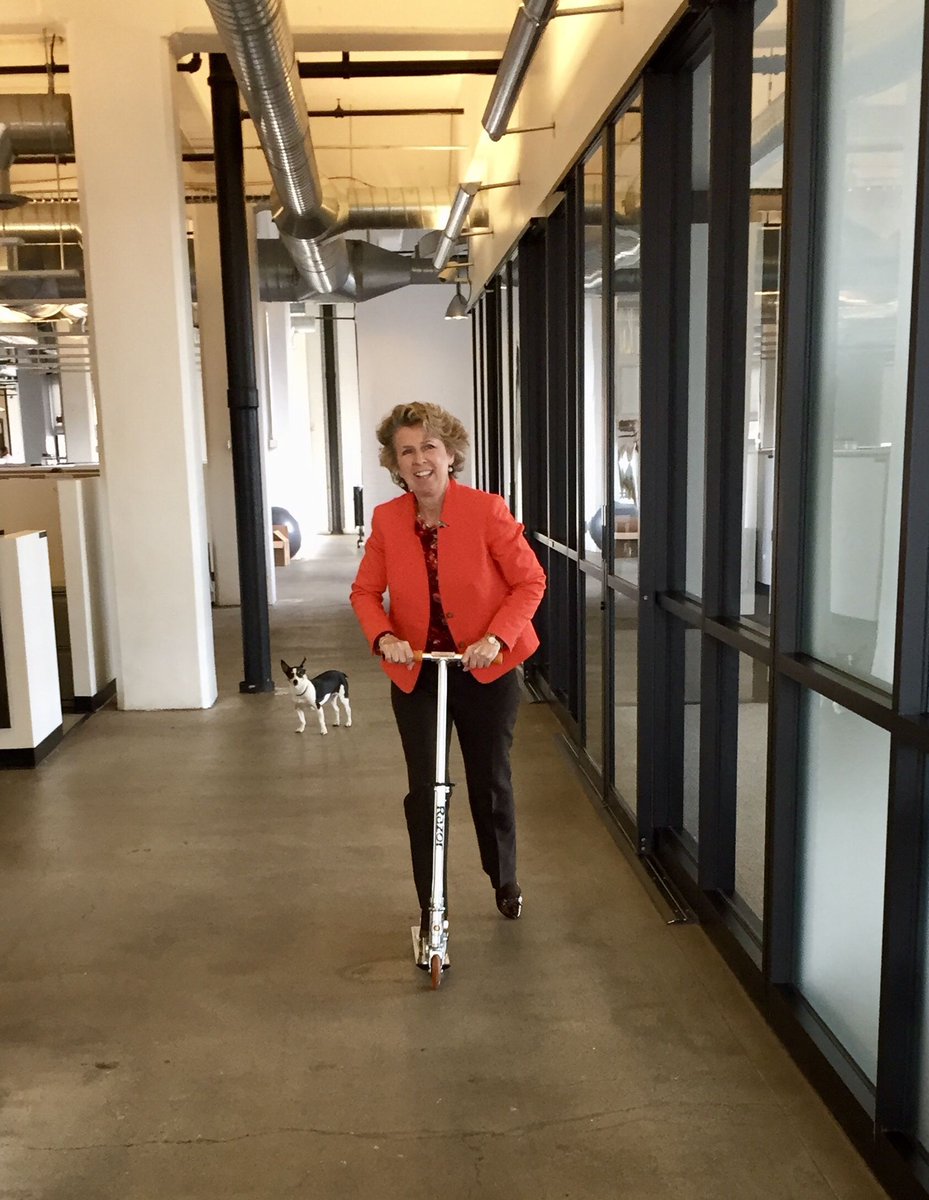 BevHope's tweet photo. #throwbackthursday. I think every workplace would have more fun and positivity if furry friends were allowed. #Google #ecommerce #officeculture #officedogs #startup #startuplife #officescooter #worklife #Funatwork #funatoffice #Entrepreneur #techfw https://t.co/WzKhhTrFIK