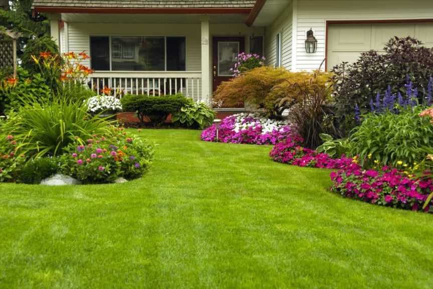 turffox's tweet photo. Top 7 Questions To Ask Before Hiring Landscaping Services Sarasota
https://t.co/FbK5QoGpPN
#landscaping #landscape #Sarasota #Florida https://t.co/VDu8GkShNH