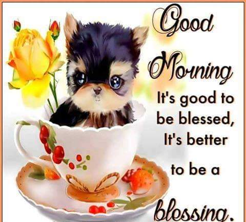 almaphillips's tweet photo. Good morning. It's good to be #blessed. It's better to be a #bleasing.
#goodmorning #ThursdayThoughts #motivation #NewDay #CarpeDiem https://t.co/PUXBrQdVkR