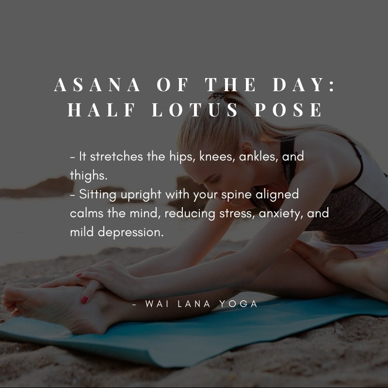 WaiLanaFans's tweet photo. Asana of the day: Half Lotus Pose
Sitting upright with your spine aligned calms the mind, reducing stress, anxiety, and mild depression.
https://t.co/z957fVsQwY
#wailana #wailanayoga #asana #asanaoftheday #halflotus #lotuspose #benefits #flexiblility https://t.co/r53ZNhKGiT