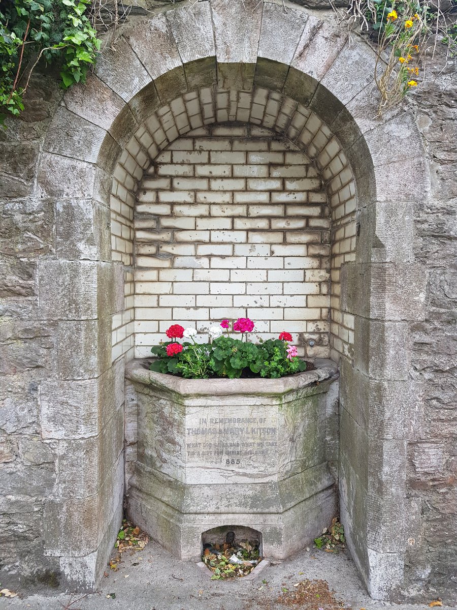 JoSharlott's tweet photo. Happy RHS national gardening week! #babbacombebaybloomers in the Rose Garden Babbacombe... and a spot of guerrilla planting in a local Victorian fountain. 
@RHSBloom
@babbacombestyle
@enjoytorbay
@WildIdeasDevon
@GWandShows 
@RivieraGeopark
@RotaryClub1016 https://t.co/5HeTEHcvHR