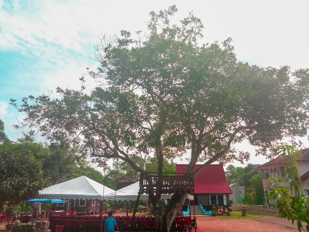gayatravel's tweet photo. Homestay D Pelanduk is the homestay to visit for a complete traditional village experience like weaving baskets.
#TeghojahN9 #travel2N9 #VisitNegeriSembilan #PesonaSeremban #ColoursOfNegeriSembilan #LPNS #GayaTravel #TravelNoMatterWhat #visitmalaysia2020 #SayangiMalaysiaku https://t.co/Aof0fo9cMe