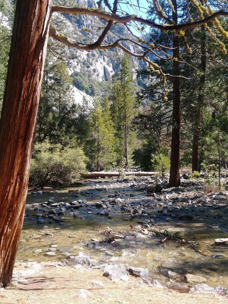 Nature_Travel_'s tweet photo. [OC] [4160x3120] A photo I took in Yosemite - tanellad - #travel #photography

https://t.co/L8WZdy4vy6 https://t.co/N4HqloOVTX