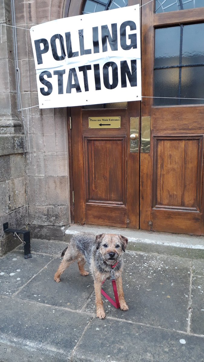 Job done. Ramsey had a bit of a growl at the retriever whose owner was clutching a copy of the Daily Telegraph. @UKLabour #dogsatpollingstations #GTTO #VoteLabour #VoteLabour2May