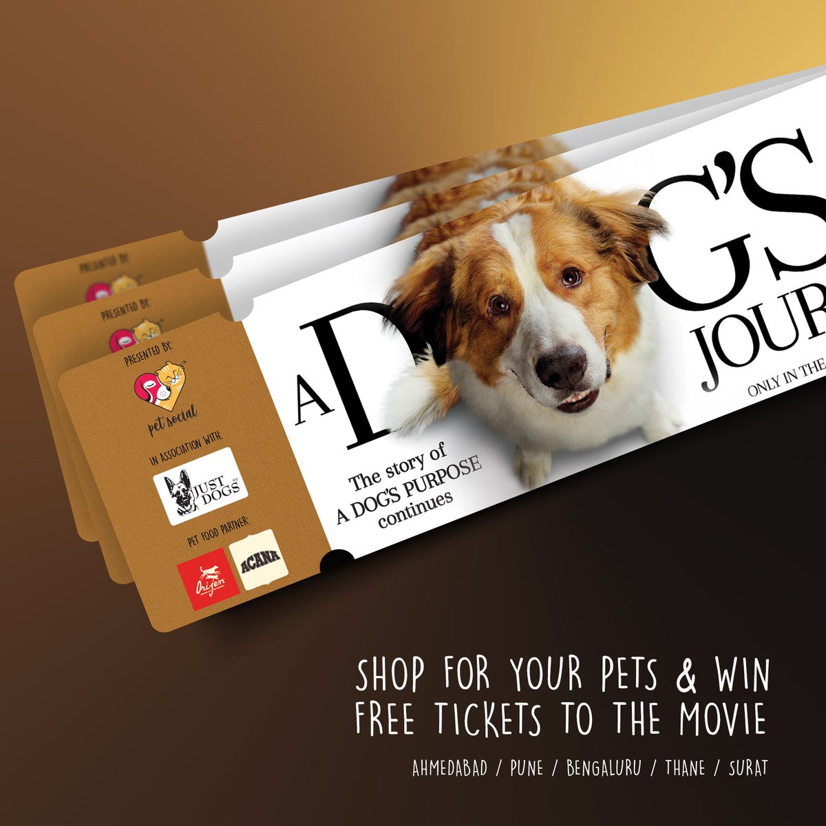 justdogsindia's tweet image. Pet Social, In association with Just Dogs brings you A Private Screening of the movie 'A Dog's Journey' on the 19th of May in your City. 
Shop at Just Dogs and Win FREE Tickets to the Private Screening! HURRY UP NOW!!

Pet Food Partners - Orijen &amp;amp; Acana.

#justdogs #movieticket