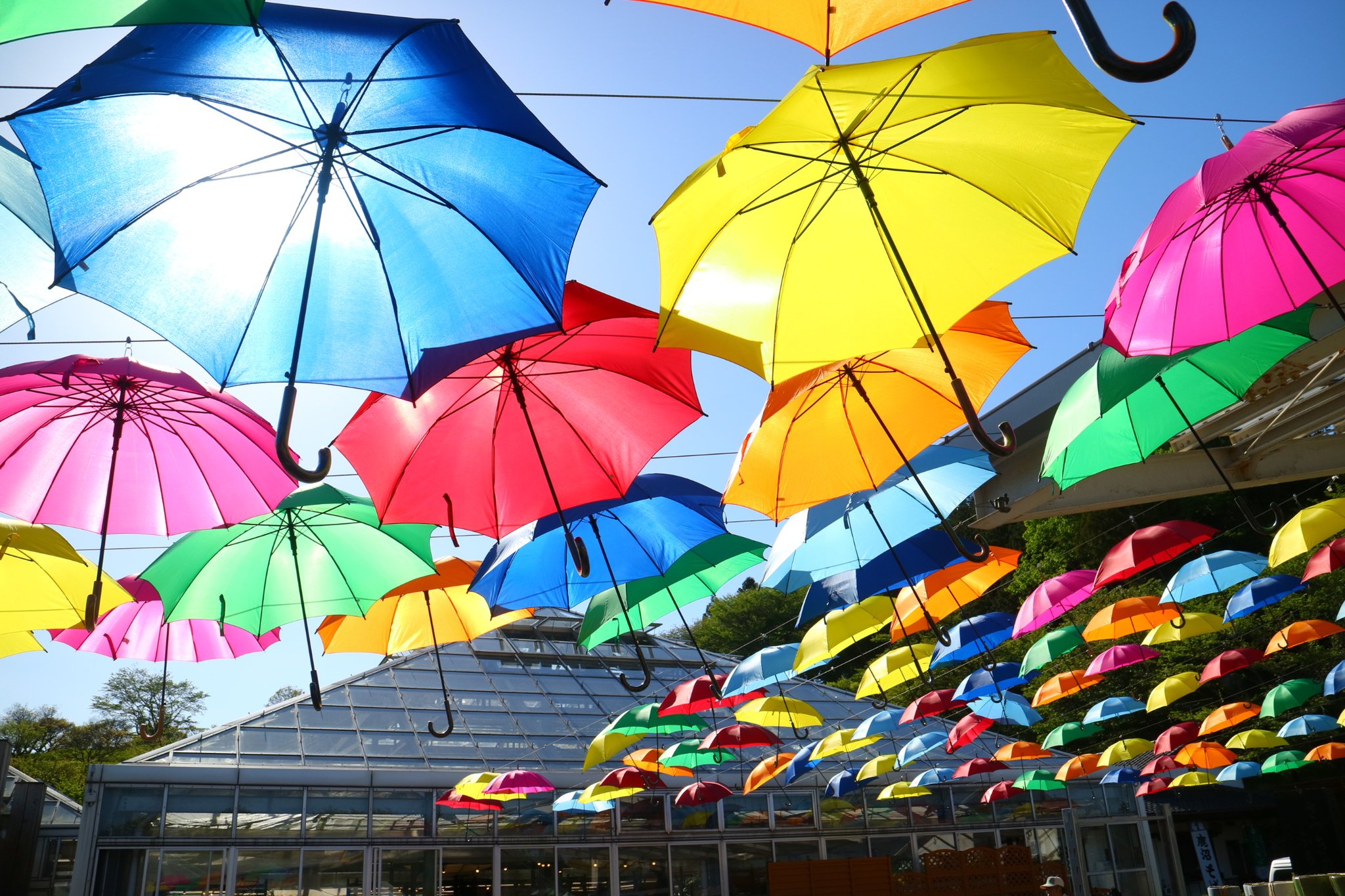 Kondō Ichirō カラフルな傘が空一面を彩る アンブレラスカイ なんかキレイだからパシャリ 栃木県 鹿沼市 花木センター 傘