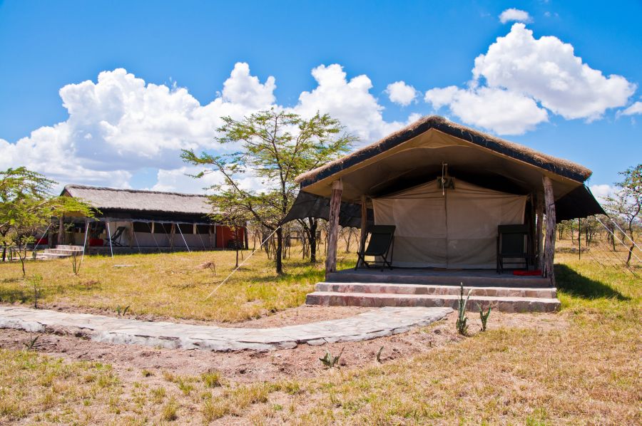 journeyinafrica's tweet image. Thank You @NyumbuC 😃😃😋
🦁🦓🐆🐃🐃
#ThursdayThoughts #Brekko