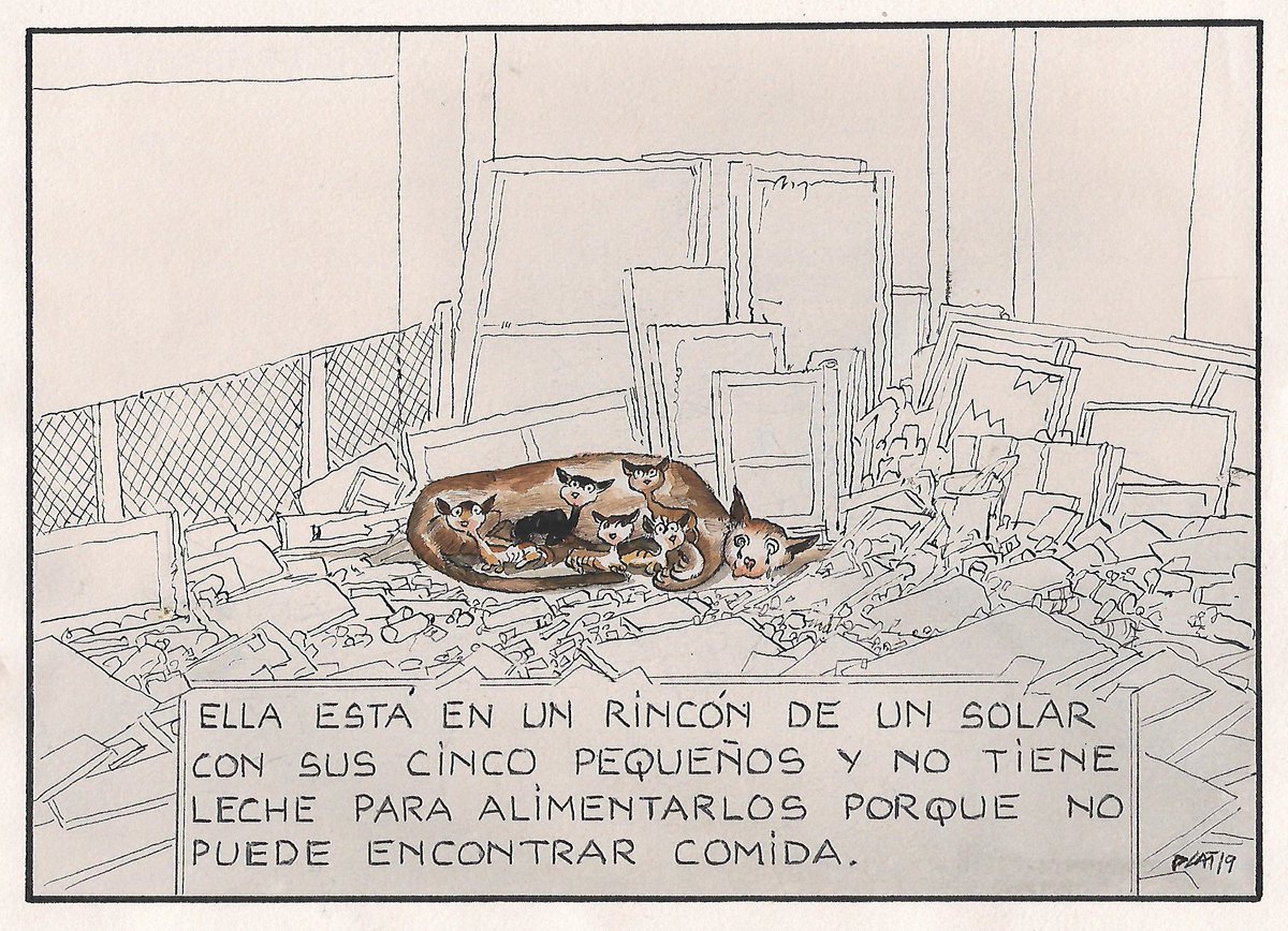 pacocatt's tweet photo. Mi viñeta de hoy jueves 2 de mayo de 2019.

A PERCY ZAMAR, que ha rescatado a miles de gatos y perros desde el anonimato y con riesgo de perder hasta la salud.

Perdóname Percy esta viñeta tan triste que te dedico y de la que sabes tanto. No es un caso concreto lo que cuenta. https://t.co/qXb8PuwxTI