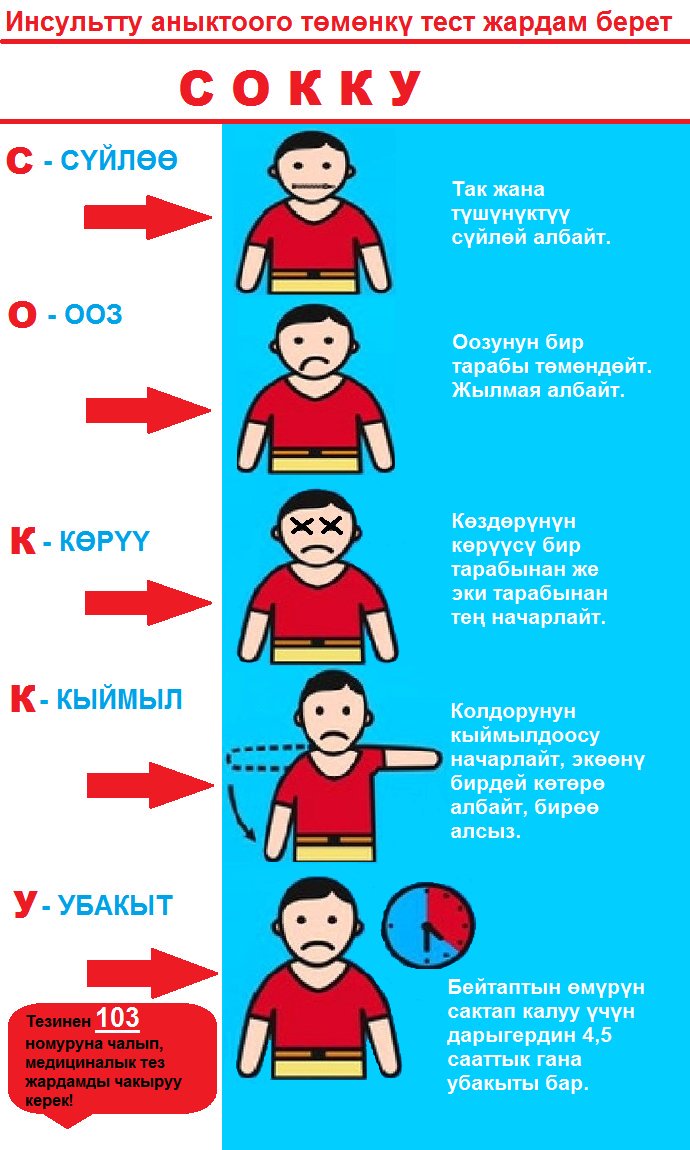 Akmaral_Orunb's tweet photo. The @eso_east team teaches each patient with risk factors of cerebrovascular disease how to recognize stroke by using algorithm “SOKKU” and tells about the risk factors of stroke and methods of it's prevention in two neurological departments of Bishkek. https://t.co/Q4QFTLd7ca