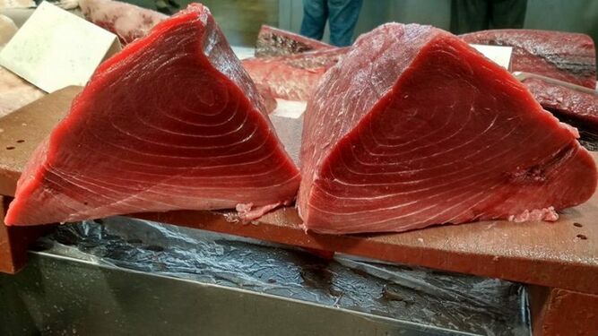 BarramedaHotel's tweet photo. Llega el mes del mayo, el mes de las almadrabas. Por eso hoy te presentamos cinco sitios de comprar atún rojo fresco en la provincia de #Cádiz 🐟

https://t.co/CeyJwQj3NL https://t.co/FAuwJQQotd