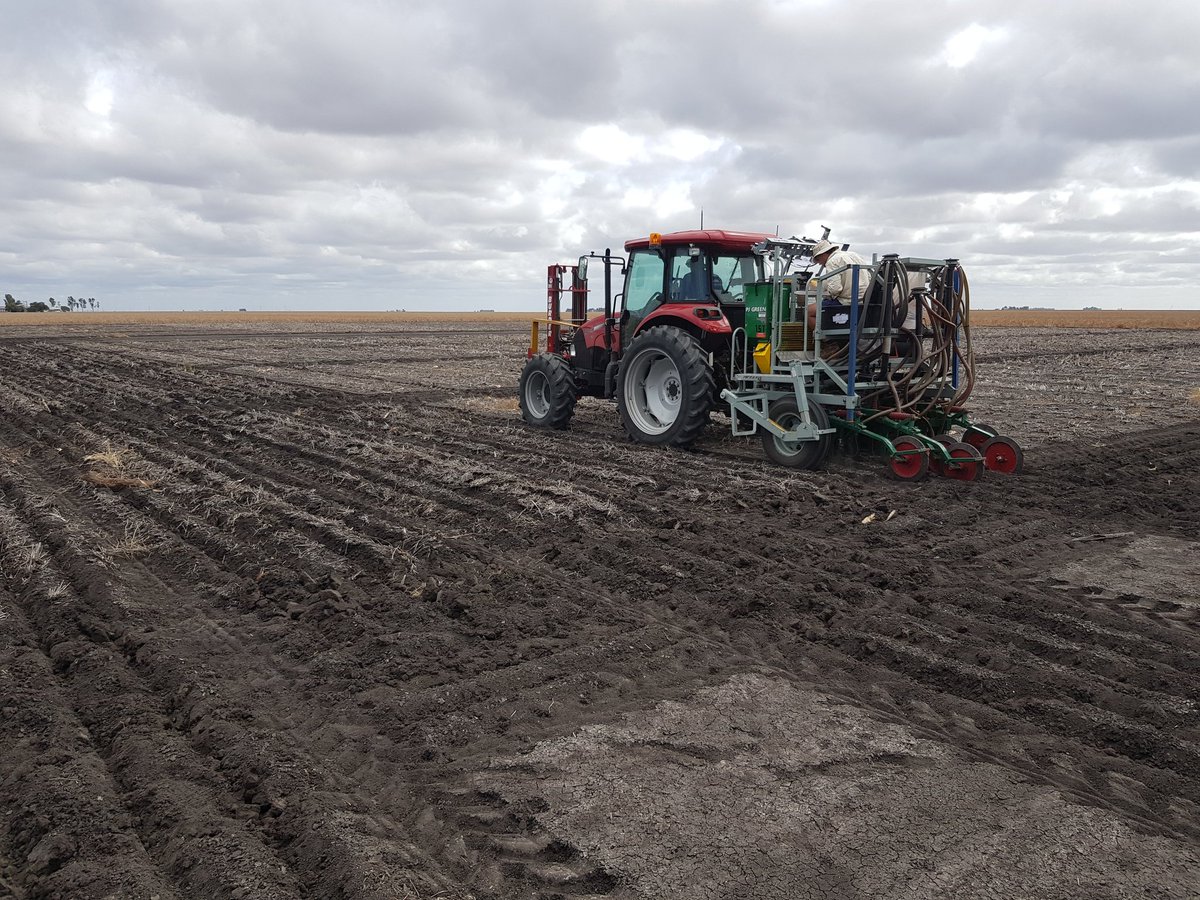 burls_15's tweet photo. Faba beans going in on the Downs today at Colonsay . Looking at crop safety and residues! #longfallow @jbarr_jmb @kalyx_australia https://t.co/VdjTiCSfou