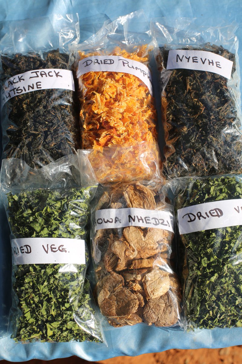 Join <a href="/LFSPZim/">LFSPZim</a>'s mufushwa/umfushwa movement - vegetables dried appropriately by sun/dryer to reduce water content. It also concentrates nutrients (minerals+vitamins) found in the vegetables &amp; enhances their flavour. #ZeroHunger #eatmoreveg <a href="/UKinZimbabwe/">UKinZimbabwe 🇬🇧 🇿🇼</a> <a href="/HarvestPlus/">HarvestPlus</a> <a href="/faosfsafrica/">FAO Subregional Office for Southern Africa</a>