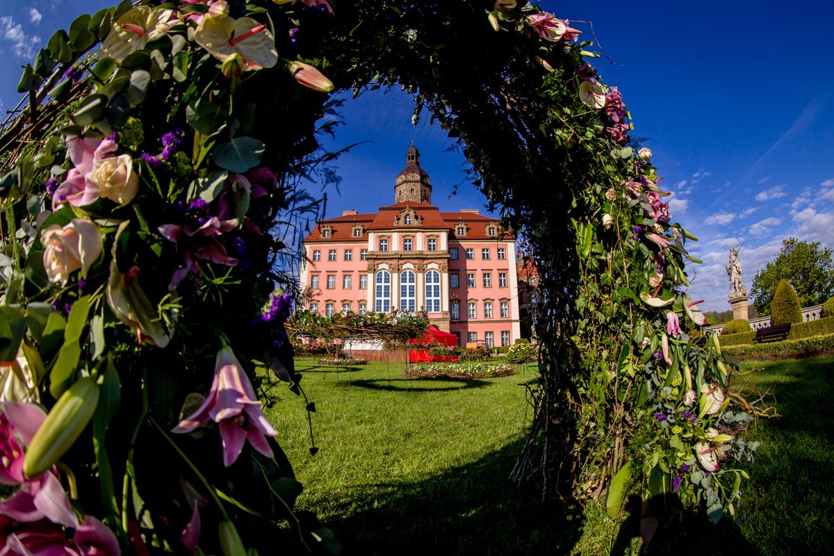 Zamek_Ksiaz's tweet photo. Brilliant weather, laughter, and enchanting flower arrangements: it’s now the third day of the 31st Flower and Art Festival, Join us in Książ Castle in @WalbrzychMM 
#KsiążSpring @Dolny_Slask @POT_GOV_Pl @KolejeD @Agrecol_pl #TauronDystrybucja @GRAJEWSCY  @SigmaPoland https://t.co/uuqrTgYdp7