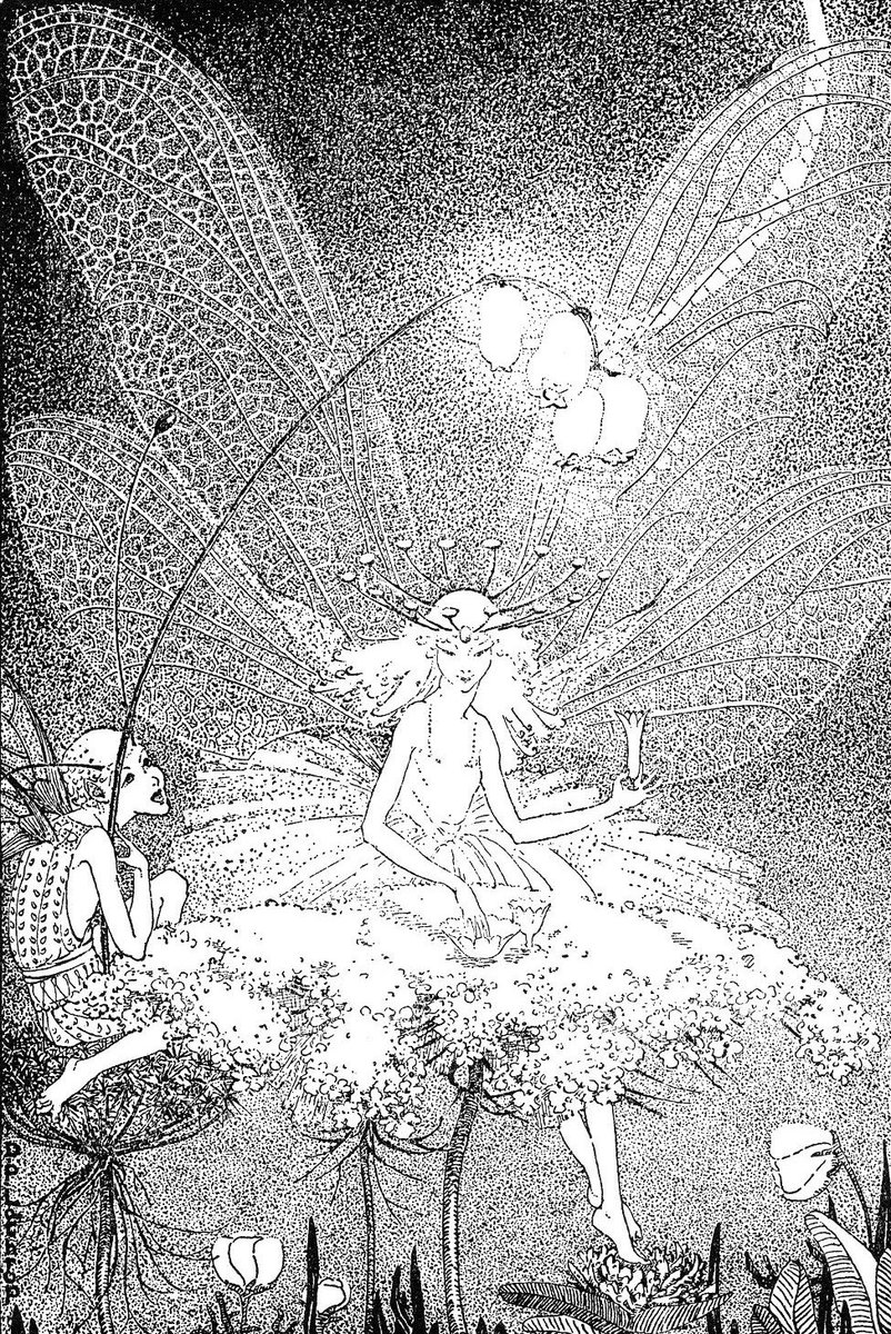 Fairies have to be one thing or the other, because being so small they unfortunately have room for one feeling only at a time...
#JMBarrie #DorothyLathrop #FolkloreThursday