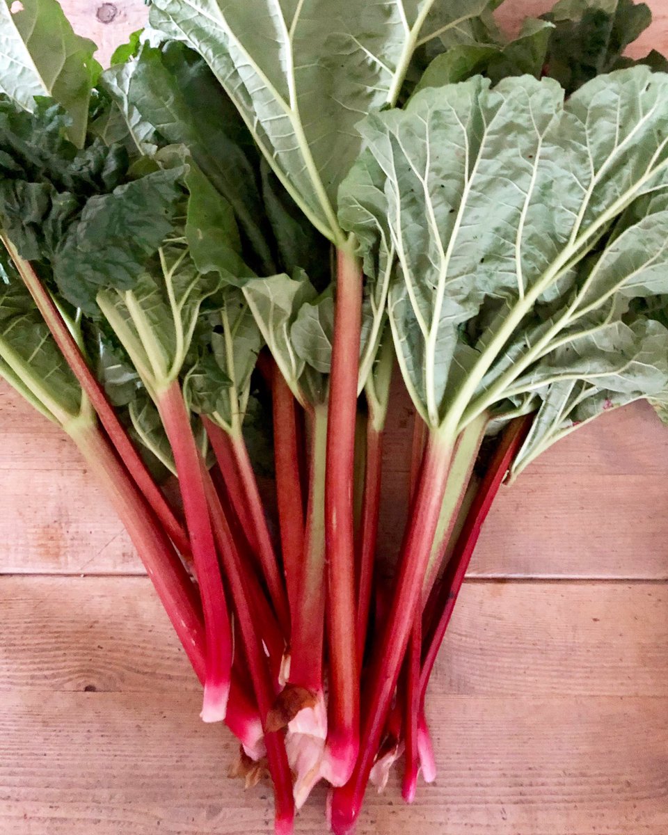 Digginginheels's tweet photo. Endings and beginnings...
Last of the Leeks (destined for the freezer) and the first of this year’s Rhubarb 
#growyourown #allotment https://t.co/G3sr8QCwN0