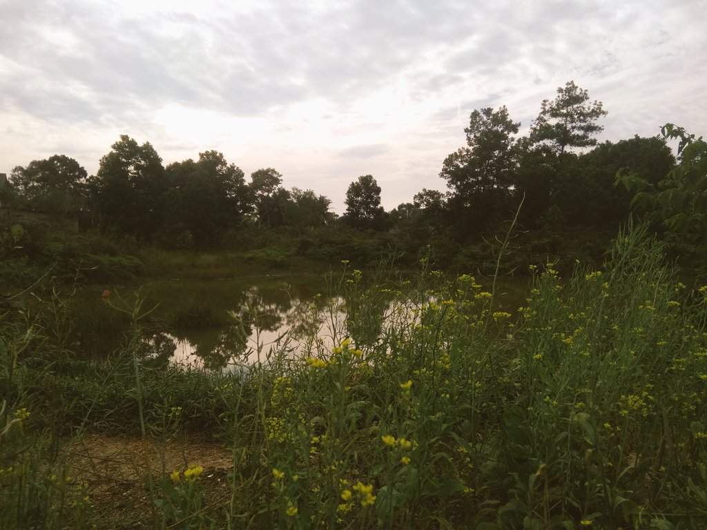 bonucci_aci (@loa_edward) on Twitter photo 