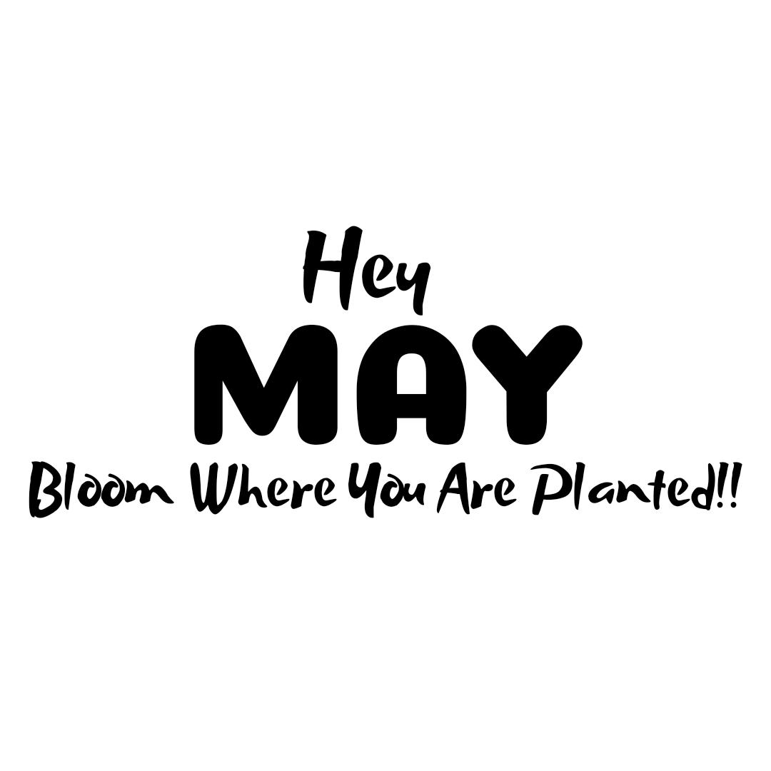 T_C_Hands's tweet photo. Hey May, Blooom Where You Are Planted!!!💫
Follow The Creative Hands On #Instagram #Facebook #LinkedIn 
#designers #designinglife #lovecreativity #thoughtoftheday #motivationalquotes #photooftheday
#mitalilodaya #graphicdesigner #fashiondesigner #followforfollow #thecreativehands https://t.co/U41xDXmh0K