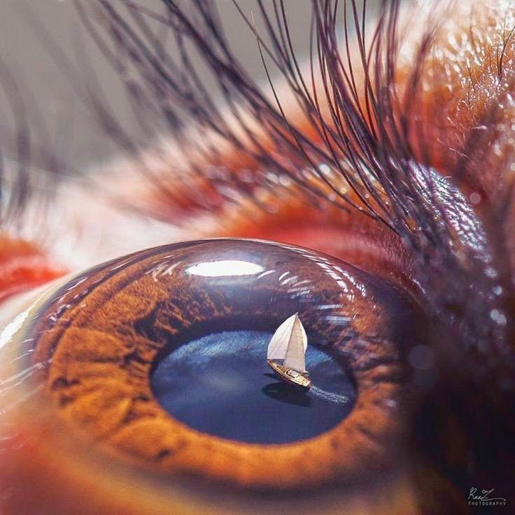 00f034799b9d4be's tweet image. 