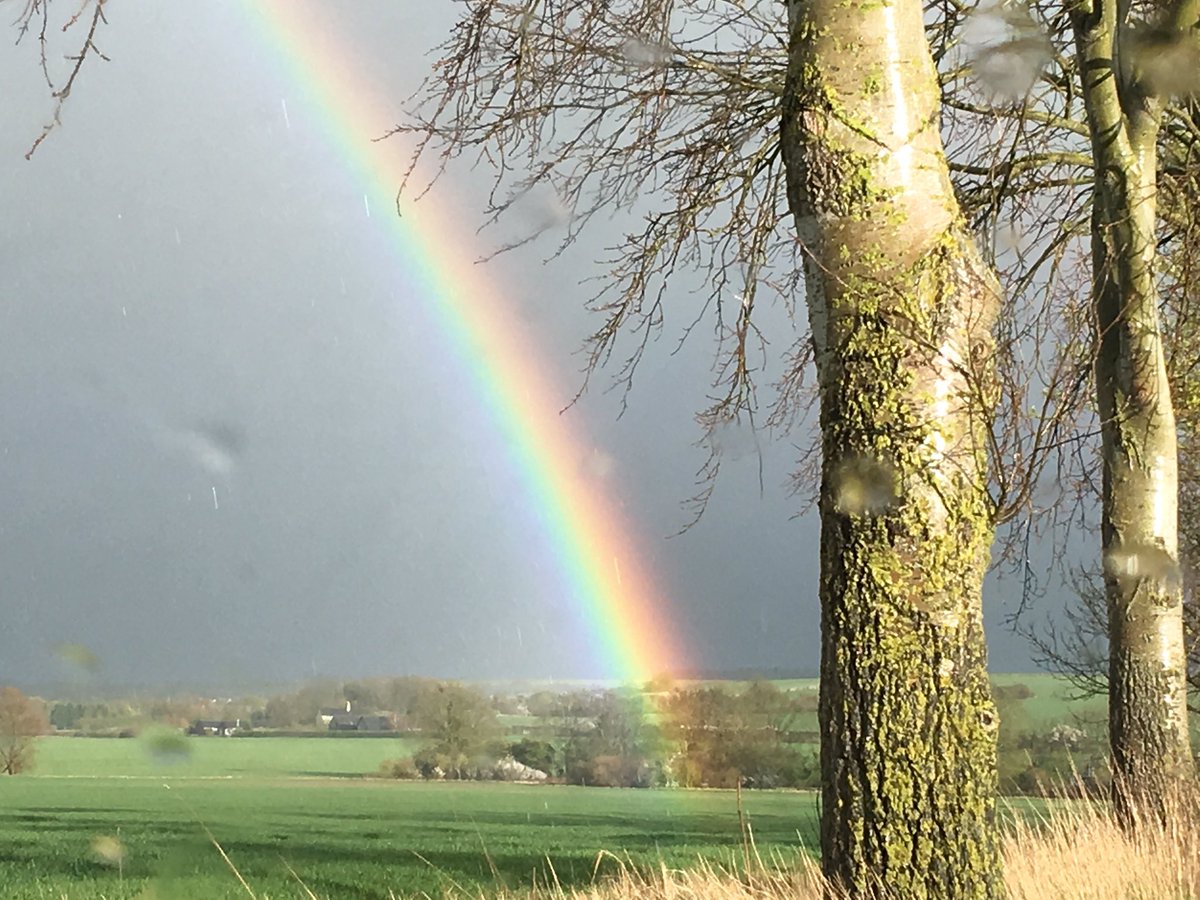 Rise_Learning's tweet image. What better way to start Mental Health Awareness Week than attending MHFA training and learning how to offer support for colleagues, clients and friends. We are in Stevenage on 13/14 May, get in touch to book your place. #MentalHealthAwareness