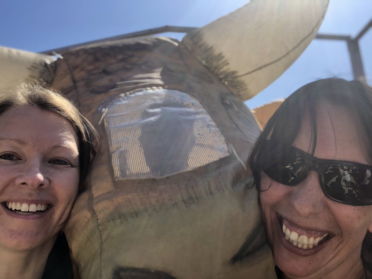 MariaRosa_AA's tweet photo. Finaliza el divertidísimo #encierro infantil #LasMatas está en #FiestasSanJose2019
#ToroSelfie #LasRozasSegura https://t.co/DsHpYw6cz6