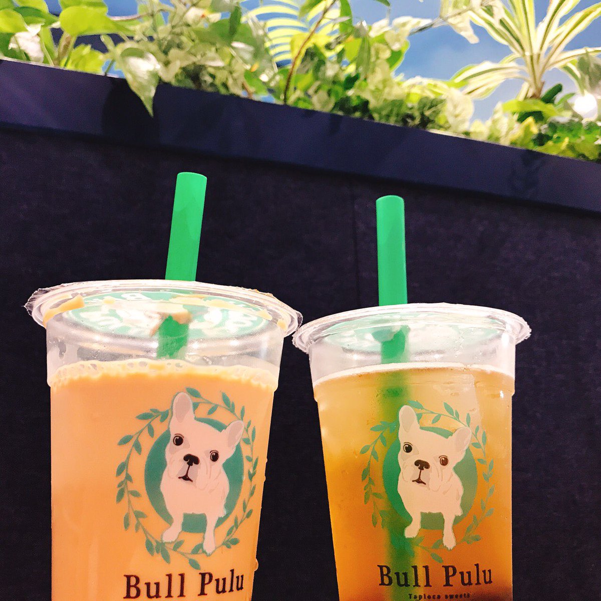 okashe_'s tweet photo. 友達とスイーツジャーを食べに行きました😍😍
京風抹茶のモンブラン美味しかった😋

最近はタピオカにハマってます( ˙༥˙ ) https://t.co/a8SyTtwR76
