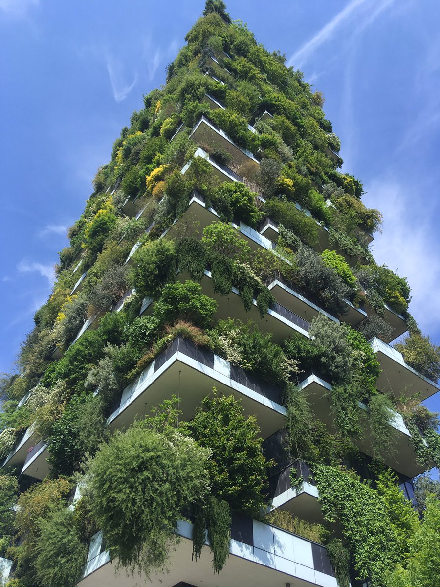 TextArtist's tweet photo. Beautiful #livingstructures #cleaningairplants #breathingcities #verdant #plantsandpeople #liveablecities #milan #Milano https://t.co/8xRy1lLsbu