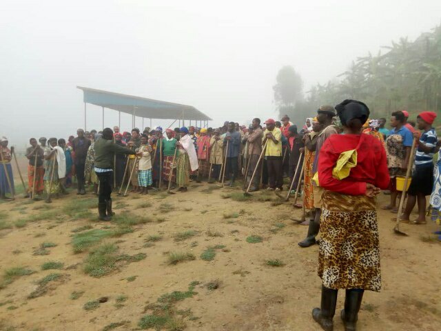 GasizaCell's tweet photo. @GasizaCell @rulindodistrict Uyu munsi site ya Bisika twatangiye umuganda wa RDF cop wo Gutangiza igihembwe cy'ihinga cya 2019C @de_kamali https://t.co/QWSh0ZenVy