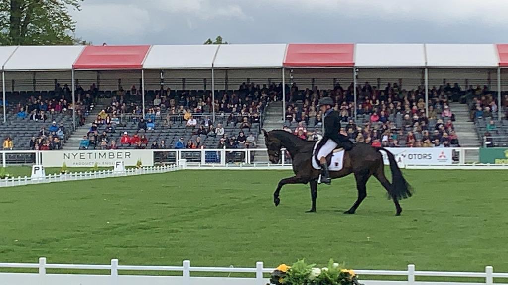 beddownbedding's tweet photo. Well done @SimonjGrieve fantastic dressage test 33.9 #proudsponsor #beddown #gosplashgo #MMBHT #Badminton2019 https://t.co/Wq1rgJDgSd