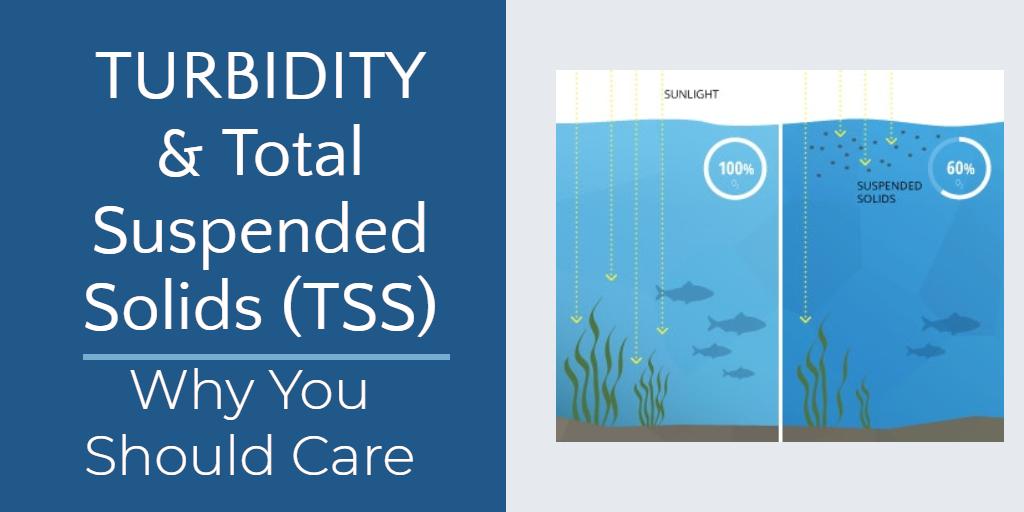 sesiengineers's tweet photo. Proactive steps are taken to limit exposure at contaminated sites, but the damage created from the disturbance of sediment in a waterway can also be lethal to plant and animal life. https://t.co/q8rcqd4f6K #turbidity #sedimentcontrol #engineeringwithnature #constructionliability https://t.co/NTCJ1Uzo8C