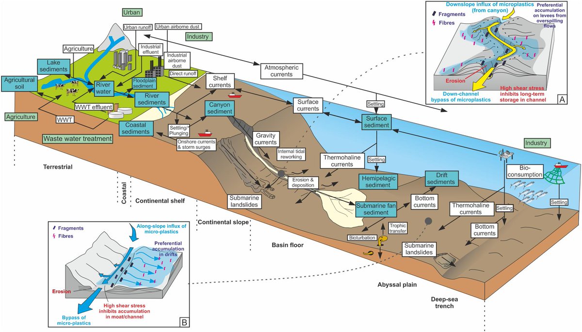 NOCnews's tweet photo. Microplastics accumulate in hotspots for deep-sea life https://t.co/c762TiCJRA #microplastics #oceanplastics #Passonplastic @MikeAClare @SedLogic @UoMNews https://t.co/xadOqUbwsw