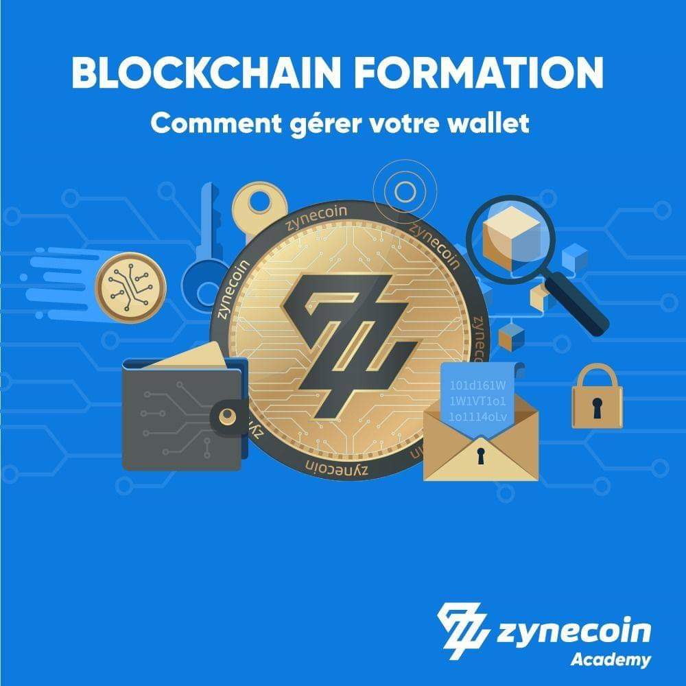 Zynecoin_FR (@Zynecoin_FR) / Posts / X