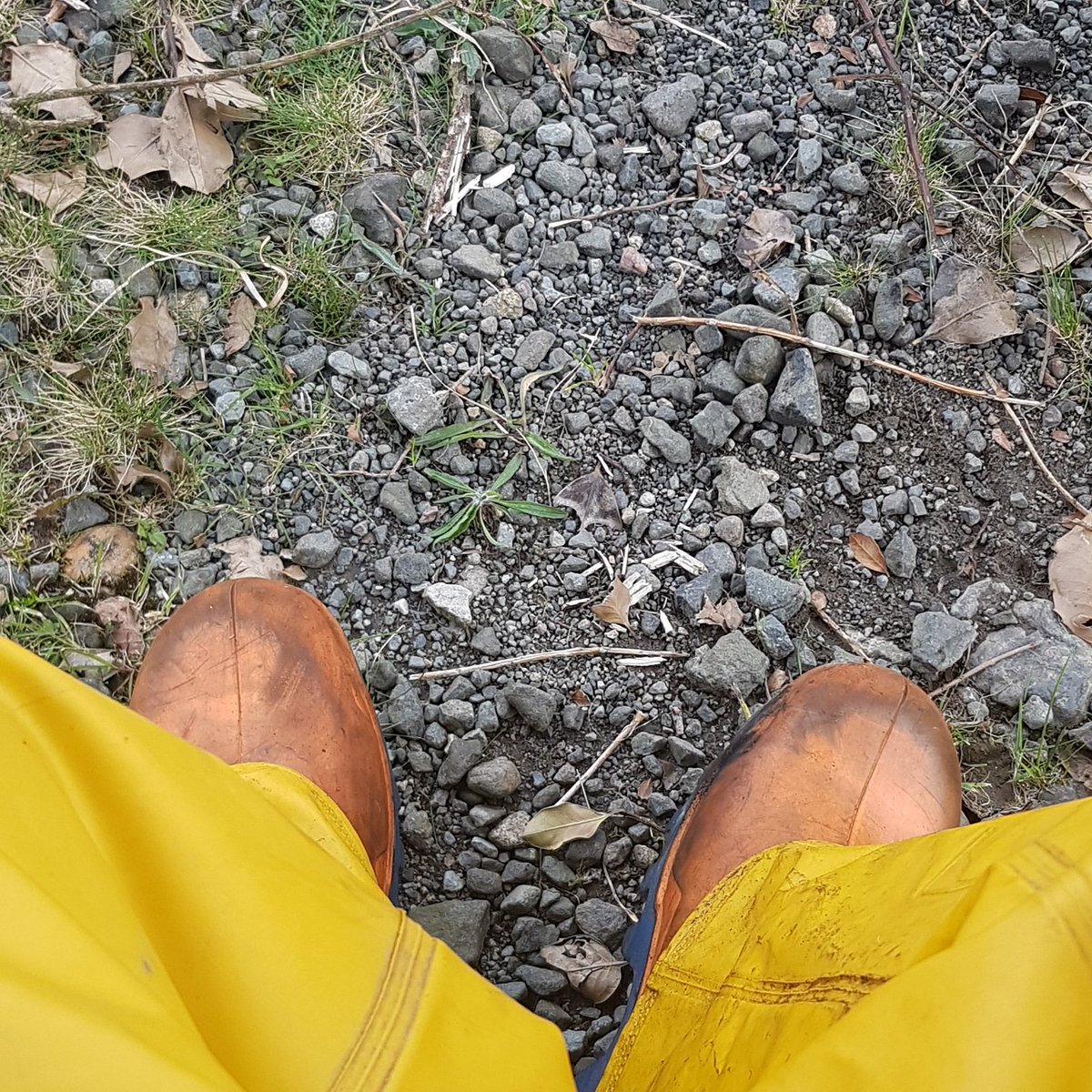 Sitting enjoying that post seaweed harvest feeling,  then off to turn it into Skye Made Seaweed Skincare

#isleofskye #skye #skyetime #skyemade #sustainable #Scotland #lipbalm #bathbombs