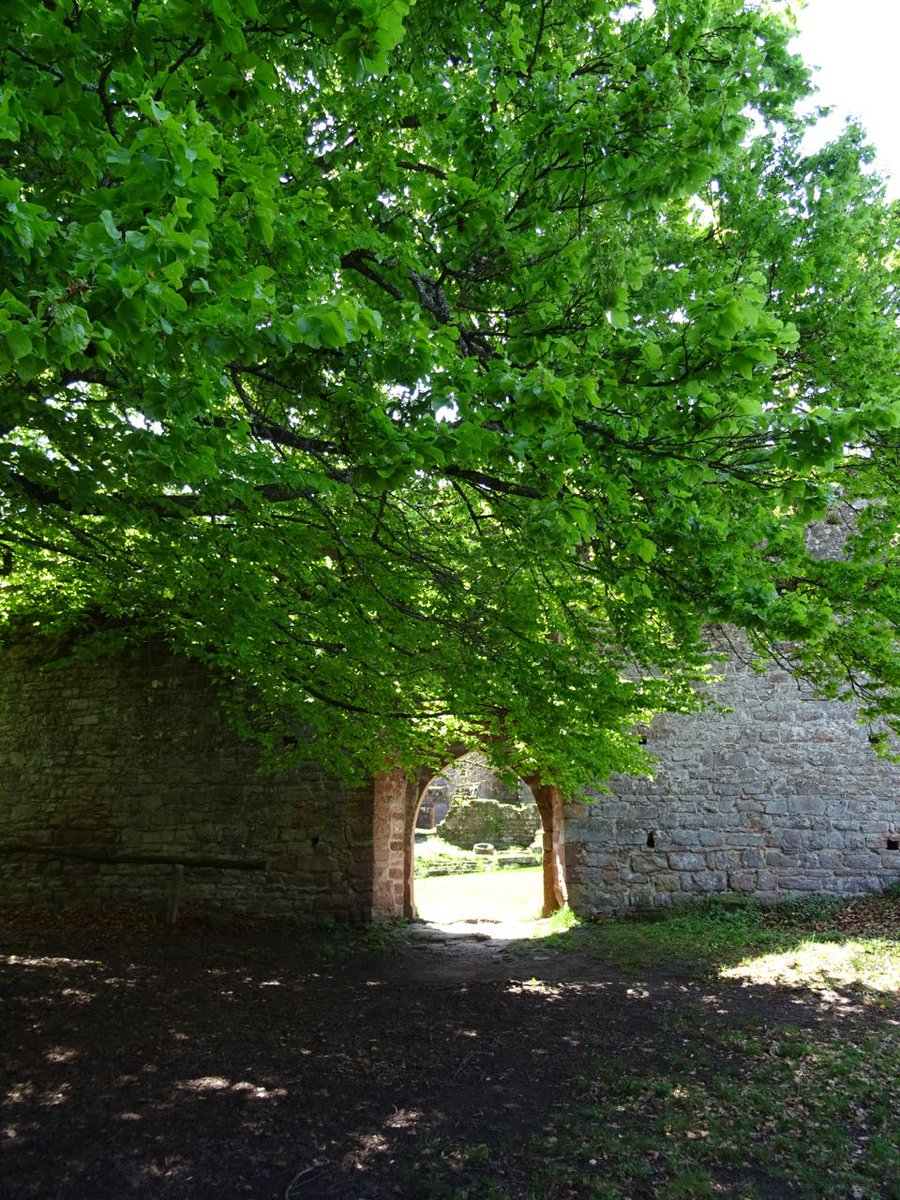 GeoGebweiler's tweet photo. Burgruine #Wildenberg bei #Kirchzell - Fotoserie Teil4 https://t.co/SpicLEBkh6