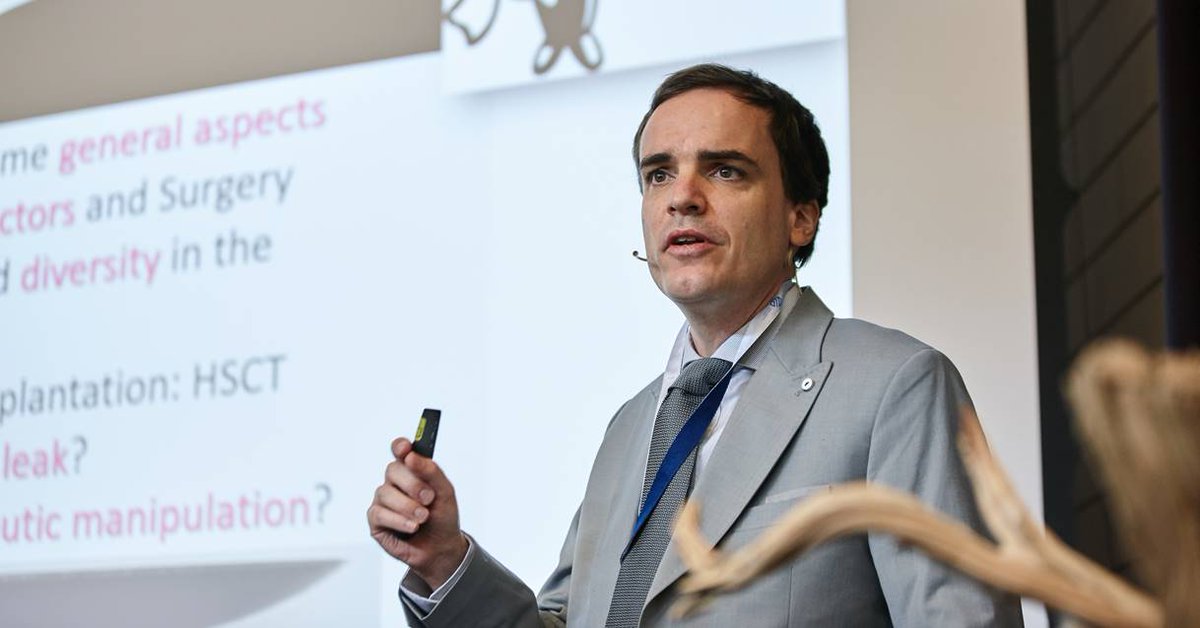 arnulf zitelmann erzählt