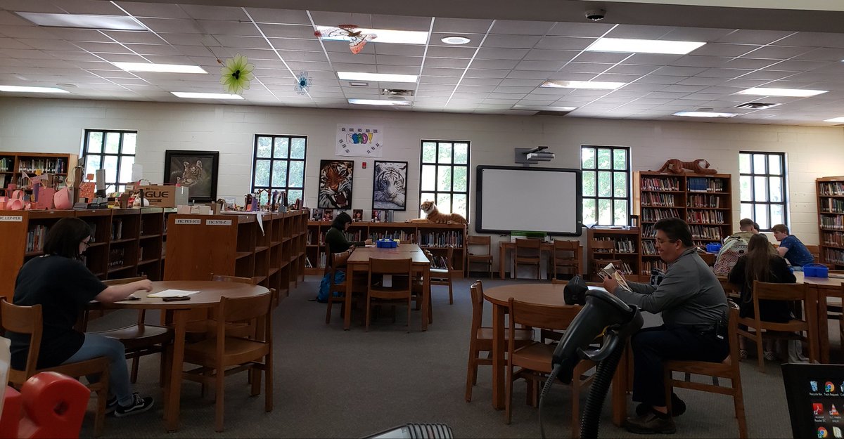 sabrinajolee's tweet photo. I love my media center! #digginupbones today and found some pics of before renovations.... The space is better. I love my @skypanels too! @bravesread Remember the Hilsman renovation was a family event? #makinglibrariesgreat #readforfun #literacy #mediacenter 2011-2019 https://t.co/rWTQLIAk5s