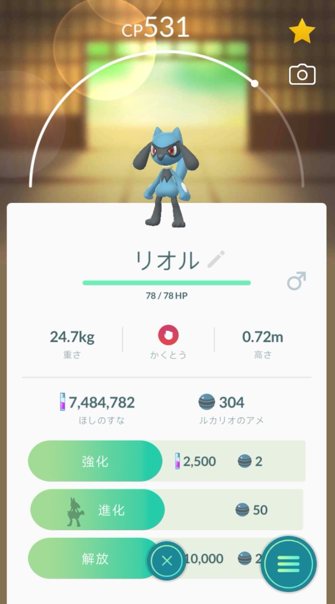 ポケモンgo 高個体値のリオルは進化させても問題はなし 使い道が来るまで放置もあり ポケモンgo攻略まとめ速報