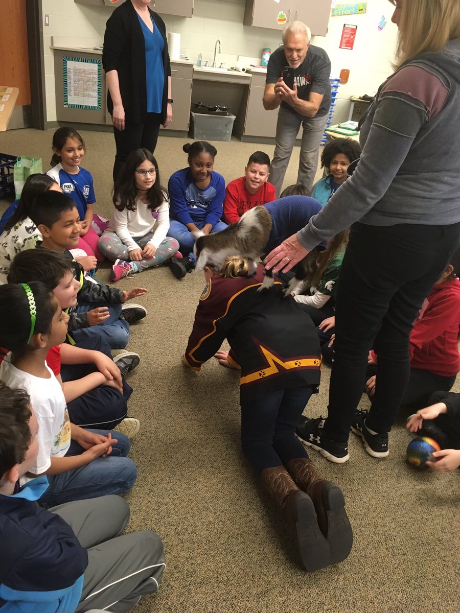 Ashleigh Wonsil tweet media