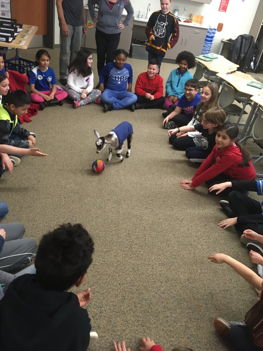 Ashleigh Wonsil tweet media