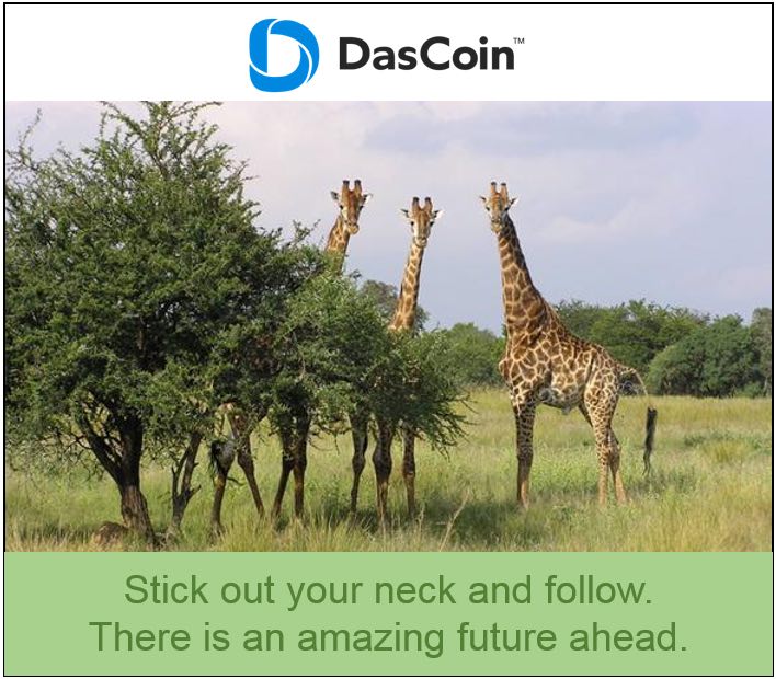 morricoo's tweet photo. Look at the #DasEcosystem from a purely logical stand point.
Look at what is coming..
Mobile DasWallet App - That’s huge !
DasMarket Place - That’s huge !
DasPay - That’s huge !
3 seconds Blockchain.
Smart contracts.
Das33.
Financial products.
Real world utility (#TRM) https://t.co/iwPZi9rmdP