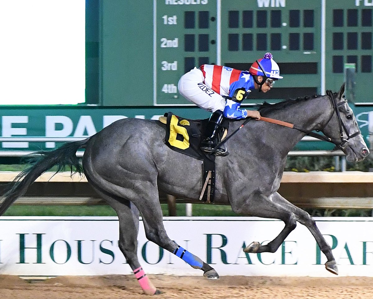 SHRPRacing's tweet photo. Best of luck to the 2019 @SHRP runners this weekend @ChurchillDowns! Fri: #VivaForever- Houston Ladies Classic (G3)
Sat: #MrMoneyBags- Jim's Orbit &amp; Groovy Stakes Winner and #Markitoff- JB Connally Turf Cup (G3) https://t.co/80YcGoAMEb