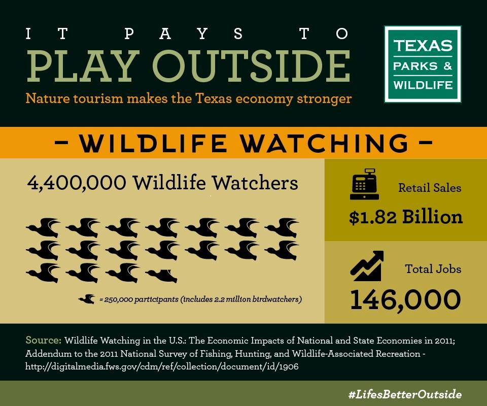 Did you know that we have 4.4 million wildlife watchers in Texas? And folks come from all over to see birds, butterflies, bats, reptiles, and others. This growing sector of our economy depends on healthy Texas fish &amp; wildlife populations.