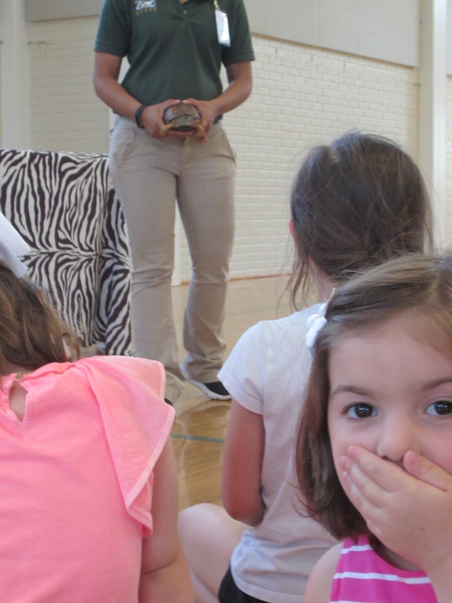 SummerAtAIS's tweet photo. We are so excited to host @phillyzoo on June 24-28! Rising PreK-grade 2 campers will meet animal friends and learn all about them during this fun-filled and educational program! https://t.co/Oc1twHSJmV