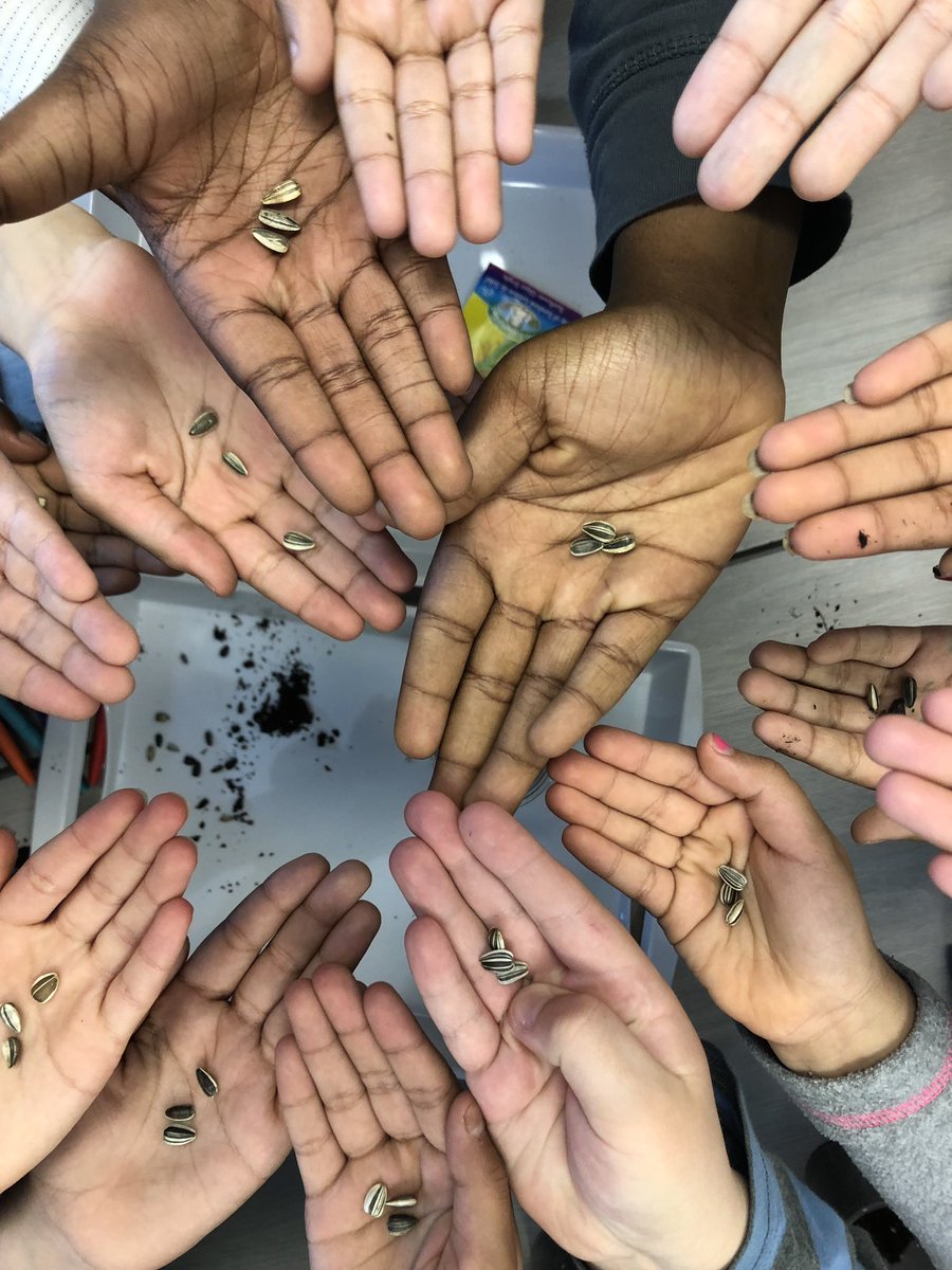 Nirvana Bissoon tweet media