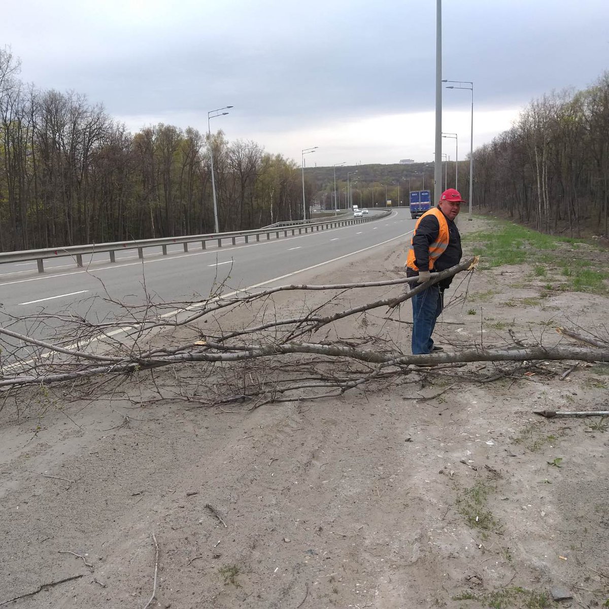 Уборка упавших деревьев по улице Ново-Садовой и Волжскому шоссе