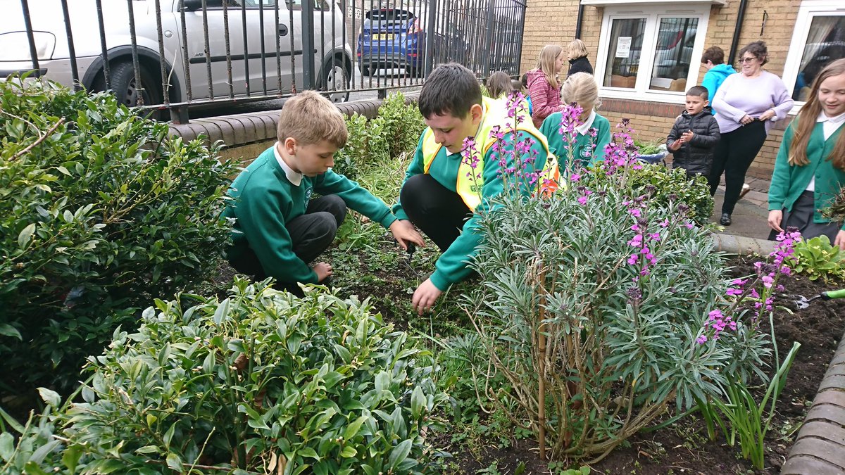 SBeducation tweet media