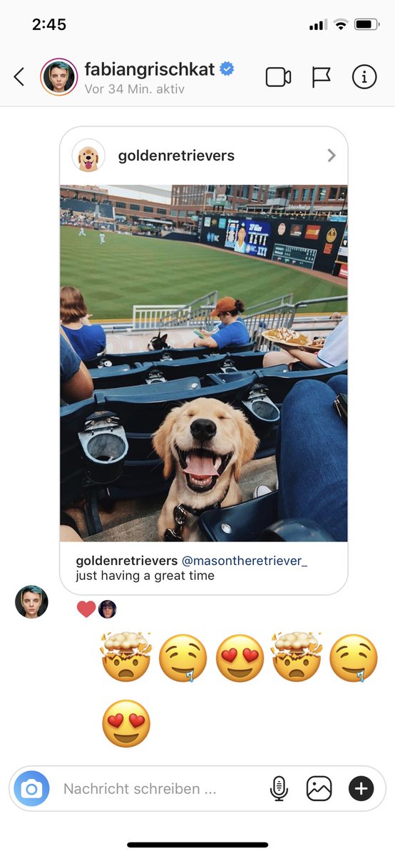 LeonBaeter's tweet photo. Der Moment wenn man Morgens aufsteht und das erste was man auf seinem Handy sieht, dieser süße Hund ist😍 danke @FabianGrischkat du hast meinen Tag gerettet🙏🏻🤯 https://t.co/sWAE99JJrn